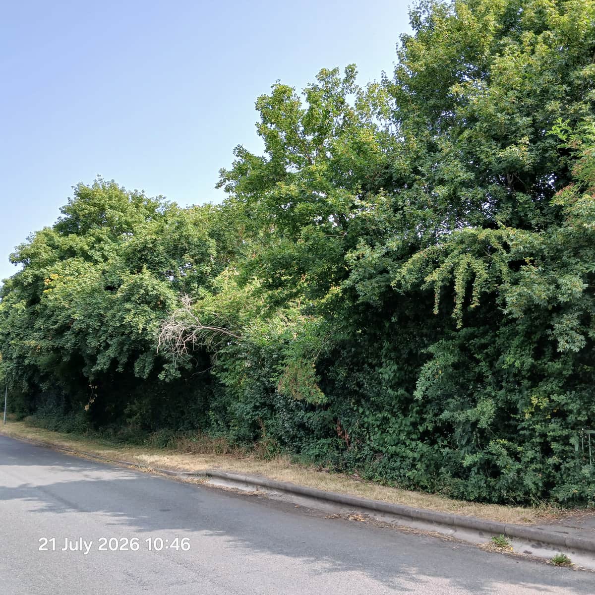 Redditch Council Plans Vegetation Works at Barnwood Close — Redditch news photo